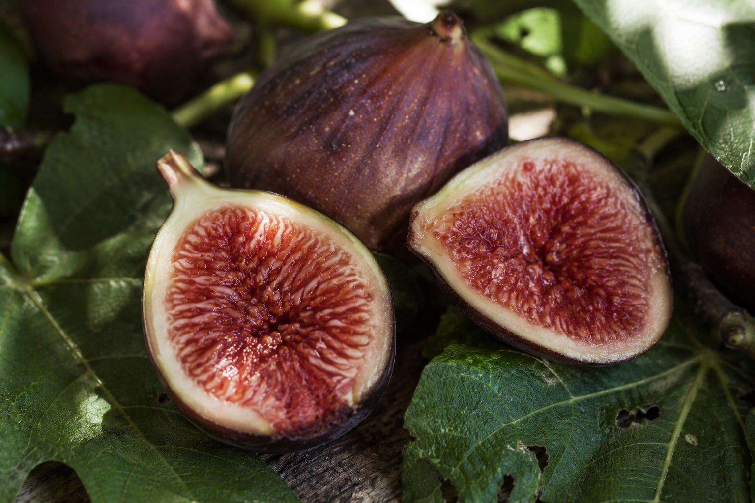 Fresh ripe figs on fig leaves